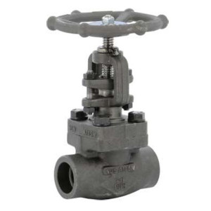 Válvula de globo 800 LBS A105N Socket Weld