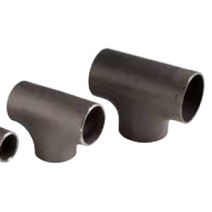TE EN 10253-2 DE ACERO P265GH